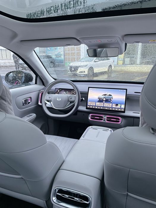 Leapmotor B10 Smart Full 510 km