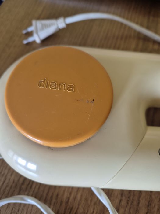 Uscator de păr vechi Diana