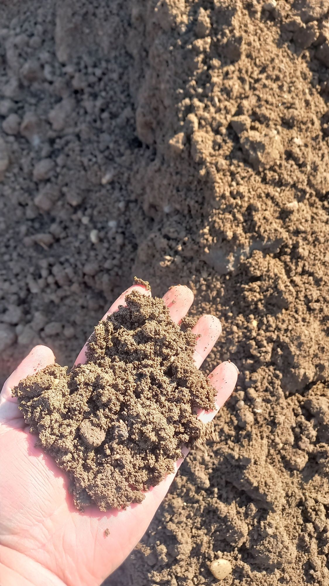Pământ de grădină plante Nisip sort Piatră concasată