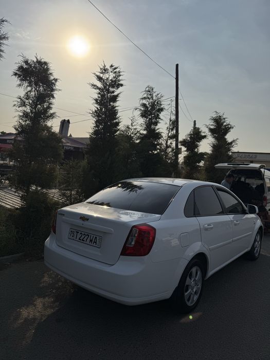 Жентра 2024 ат.