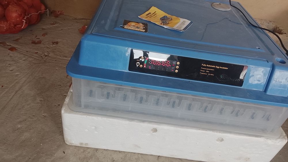 200 talik toʻliq aftomat tuxum chiqarish zoʻr