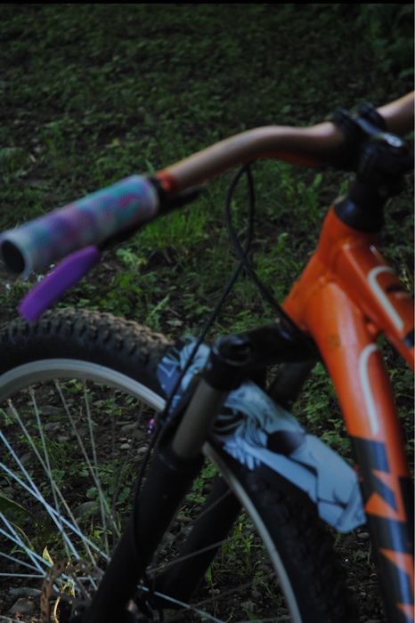 MTB Custom KTM Mullet