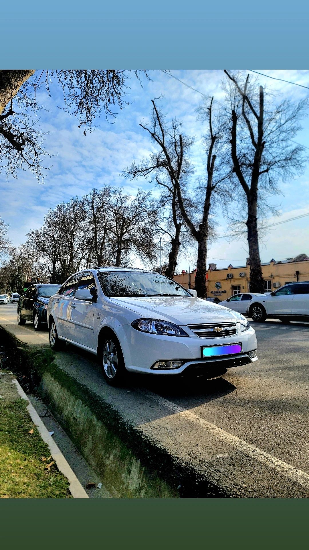 Жентра 3поз елегант плус