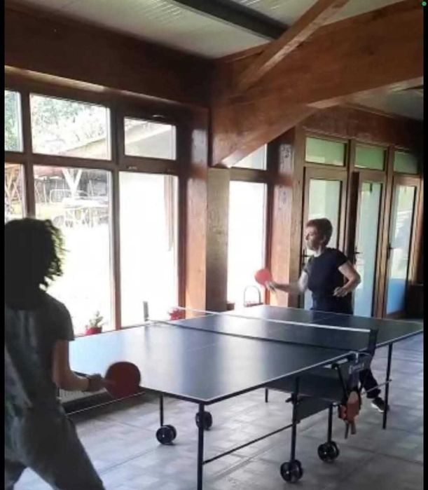 Cazare Pensiunea Nicoleta Costești Vâlcea disponibilă de Revelion 2026