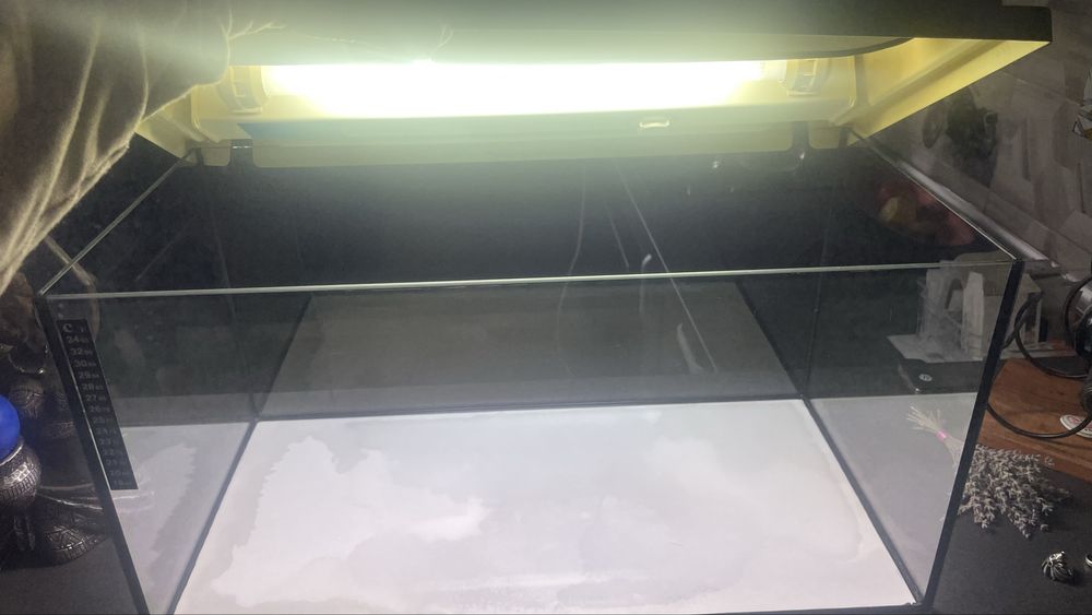 De vanzare Acvariu/terariu