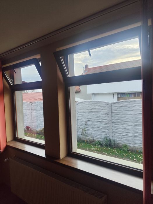 2 Geamuri termopane identice