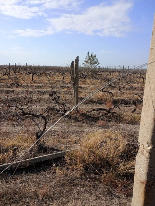 Stâlpi de beton de vânzare