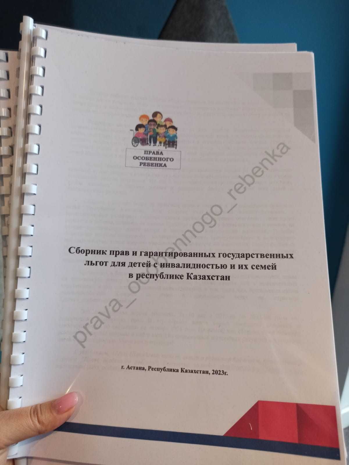 Сборник "Соблюдение права на образование детей с инвалидностью"