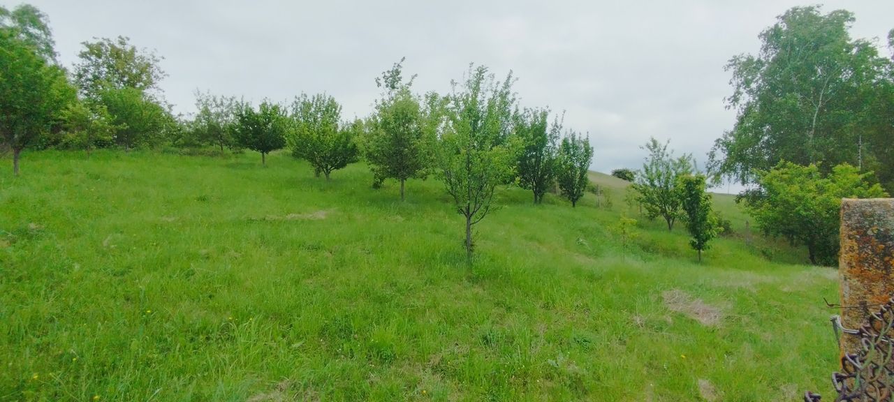Продава се Парцел в с. Велковци, Област Перник - 870 кв.м за 15 €/кв.м - Снимка #5
