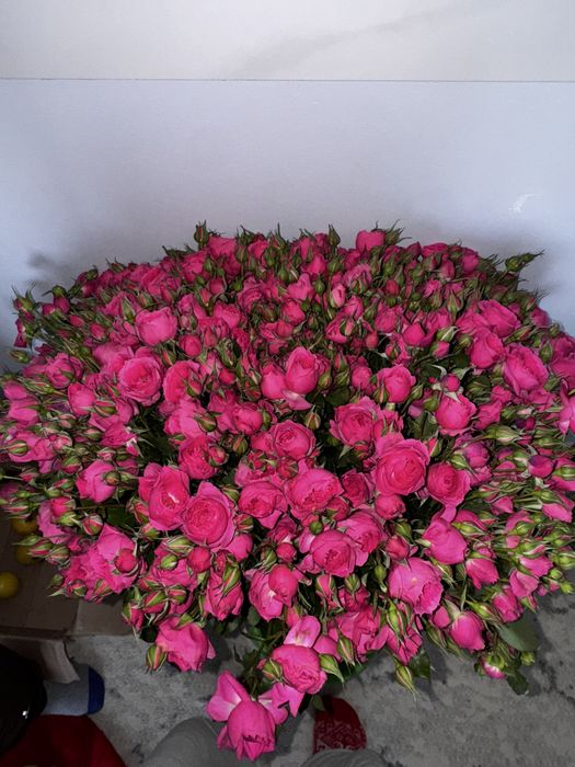 Букет спрей роза