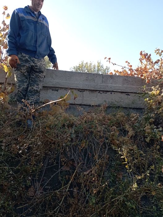 Плита навесной 6 .1.50 келишилган холда сотилади.б.у