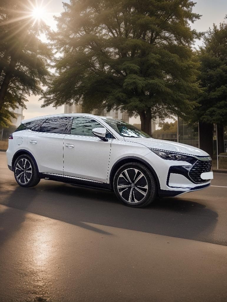 Водитель со своим авто BYD Tang DM-p