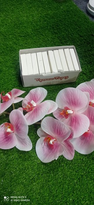 Kesak,gilvata,glina,mel (yer mazasi, yomgir mazasi)100gr 20.000