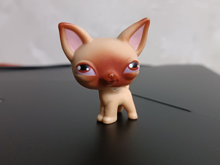 Лпс чихуахуа #1, lps, littlest pet shop, пет шоп,