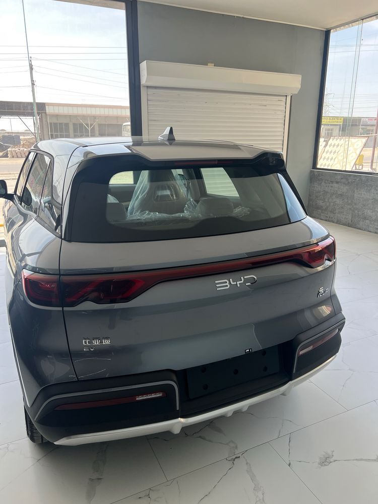 Byd Yuan Up Ev 2025