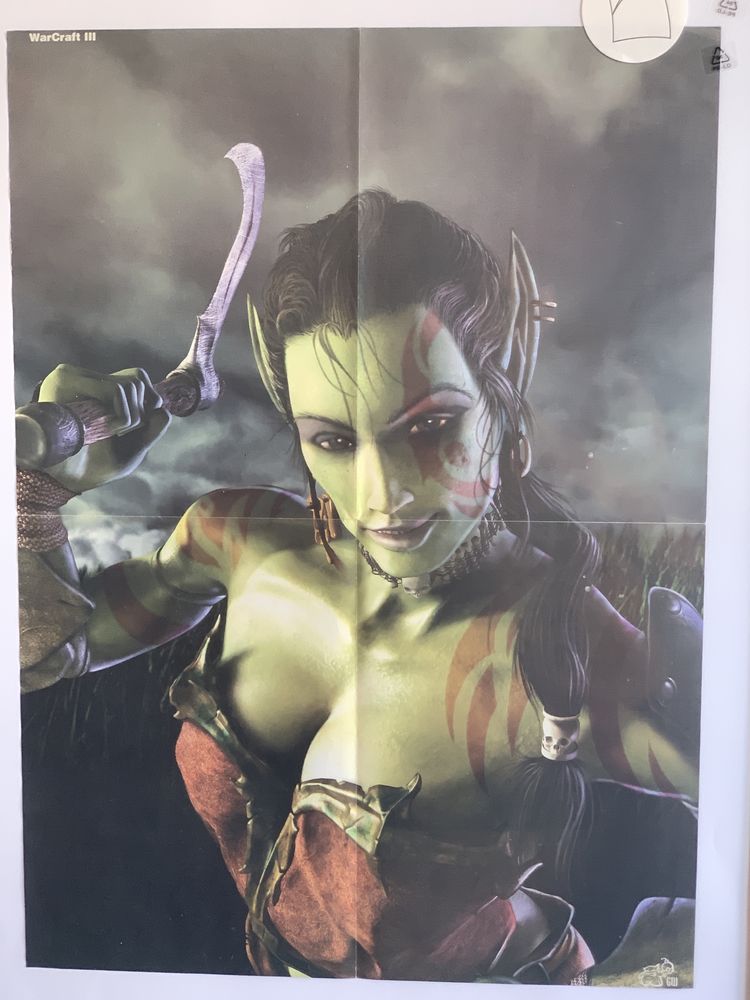 Плакат на Warcraft 3