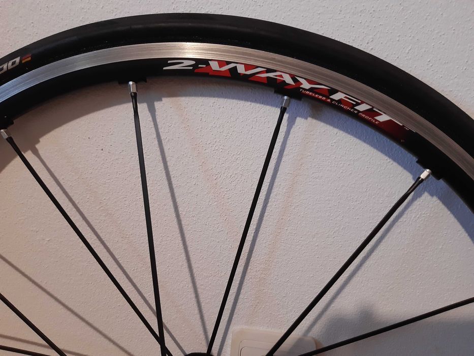 Roti cursiera Campagnolo Eurus 2 way fit