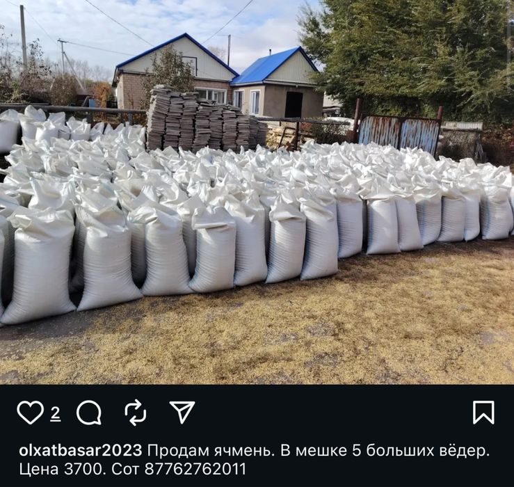 Ячмень в мешках 5 больших ведер