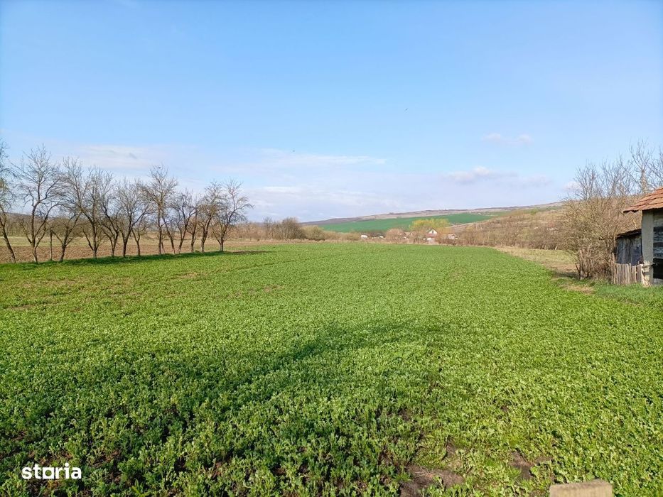 Vand teren intravilan in localitatea Rascruci