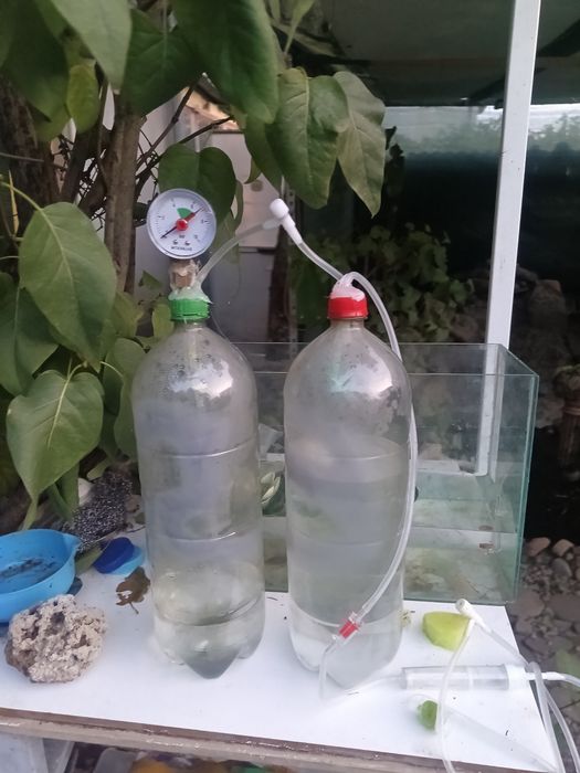 Sistem diy CO2 acvariu oferta!