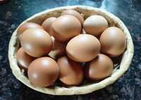 Ouă proaspete găini de țară