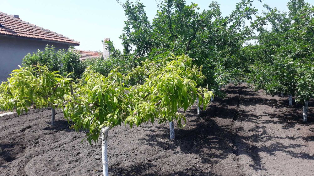 Продава се Парцел в с. Безмер, Област Ямбол - 850 кв.м за 21 €/кв.м - Снимка #10