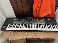 Korg PA3X 76 - 256ram
