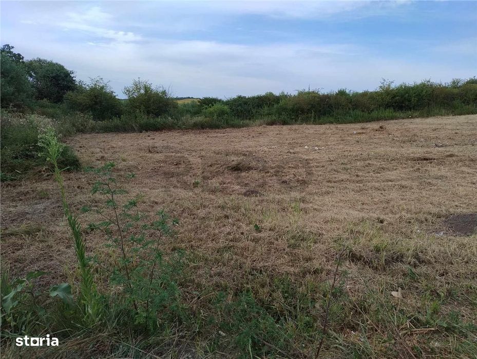 RECO Teren intravilan  Paleu