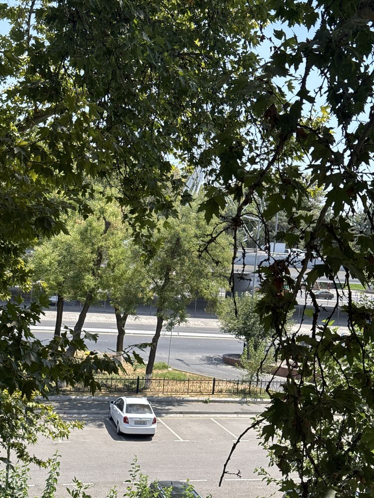 Квартира аренда без маклер мирзо улугбек метро