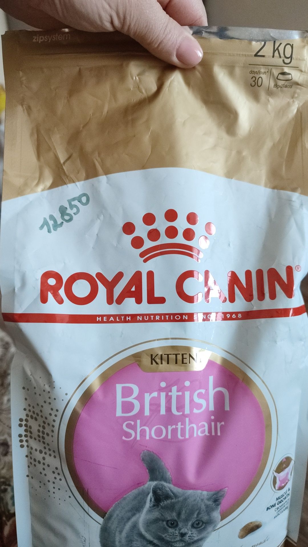 Royal canin, ДЕШЕВО Фирменный Корм сухой для британцев