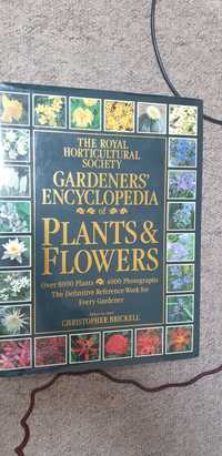 Encyclopedia horticultura