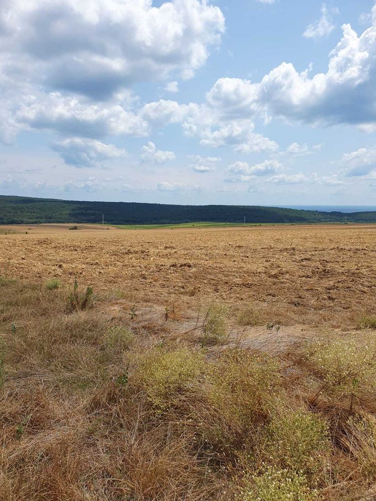 Продава се Парцел в с. Близнаци, Област Варна - 2428 кв.м за 25 €/кв.м - Снимка #7