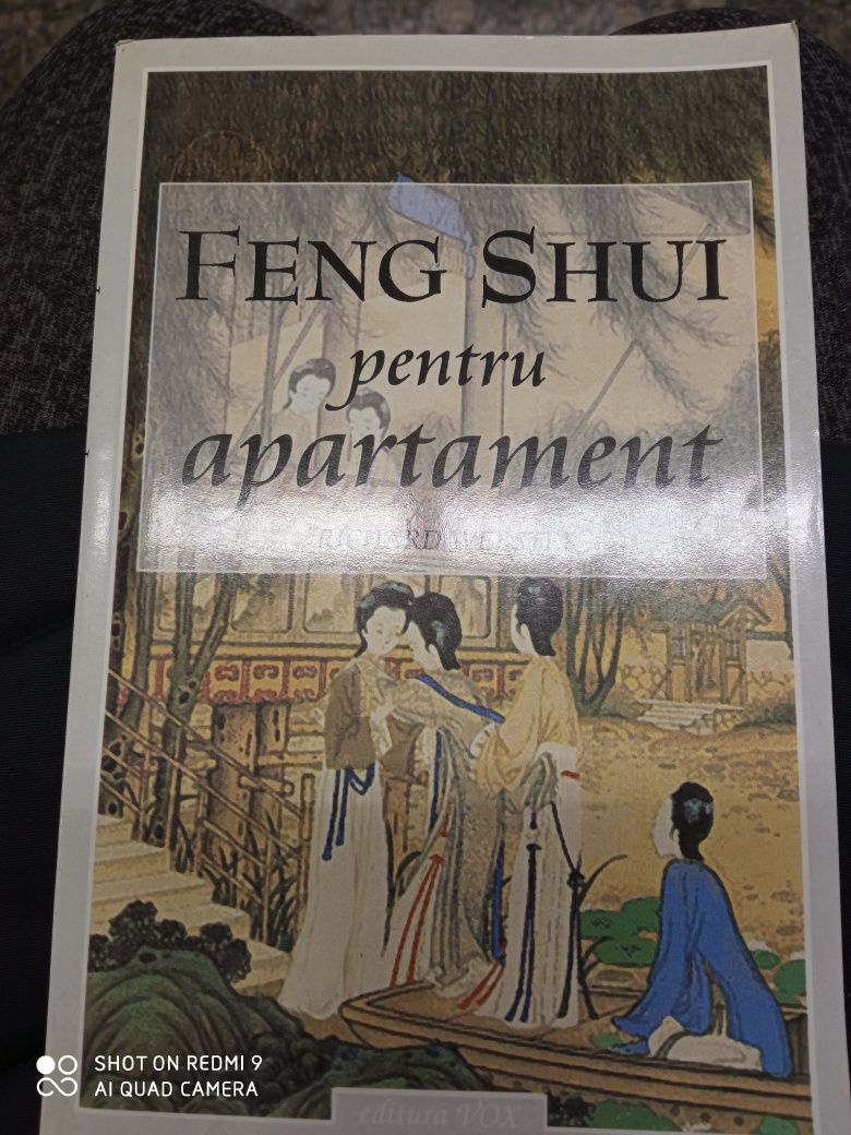 5 Lei Carte Feng Shui pentru apartament