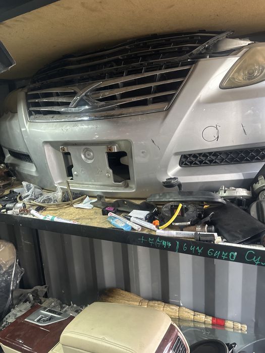 Ноускат на Марк Х