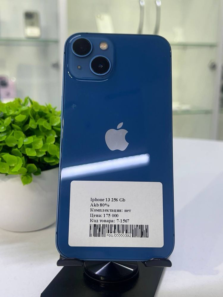 Iphone 13 256 Gb