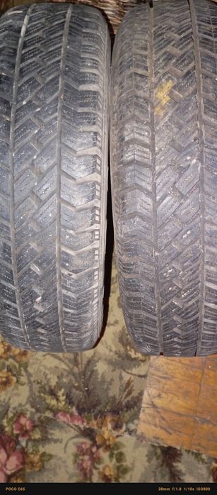 автошины с диском.