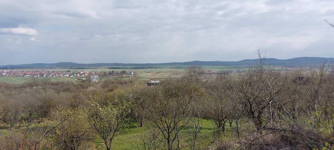 Vând teren în Cheia 2000 mp,14e/mp
