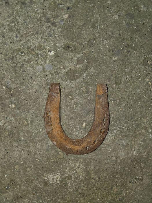 Vând potoavele lui Marian Țiganu