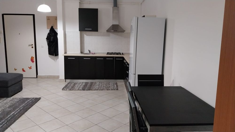 Inchiriez apartament 2 camere, zona Sanovil Viisoara