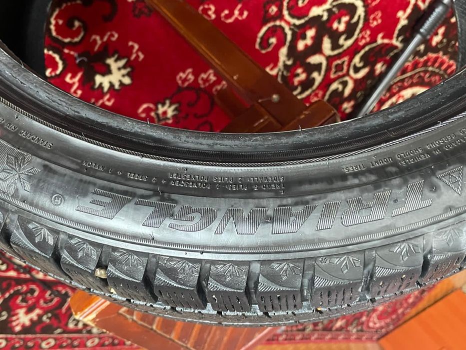 Зимние шины Triangle