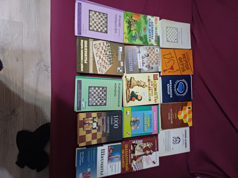 Шахматные книги для занятия