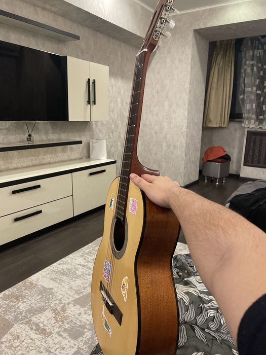 Гитра Gort Ac100