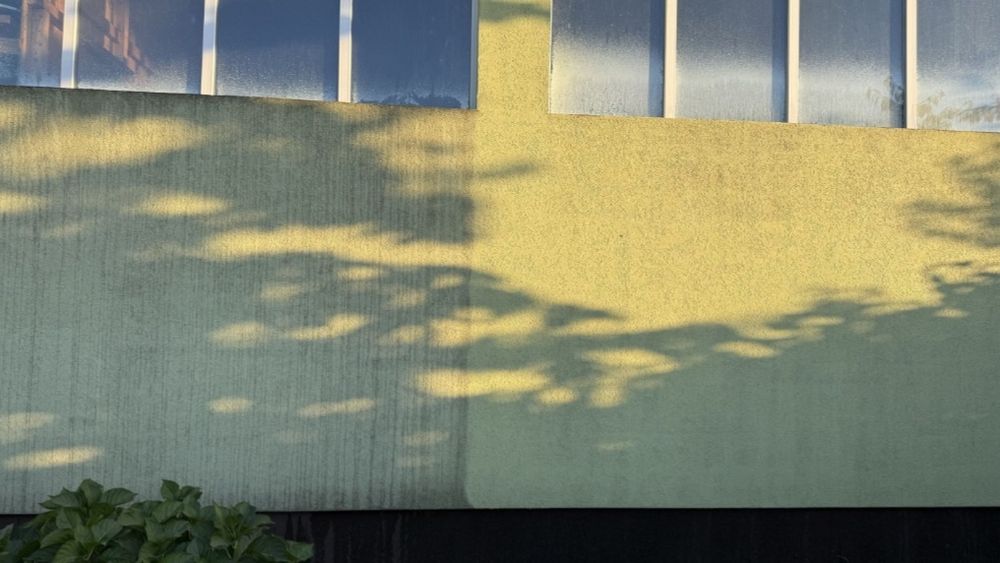 Ofer debarasari locuinte curatare panouri pavaje fatade 
-spalare fata