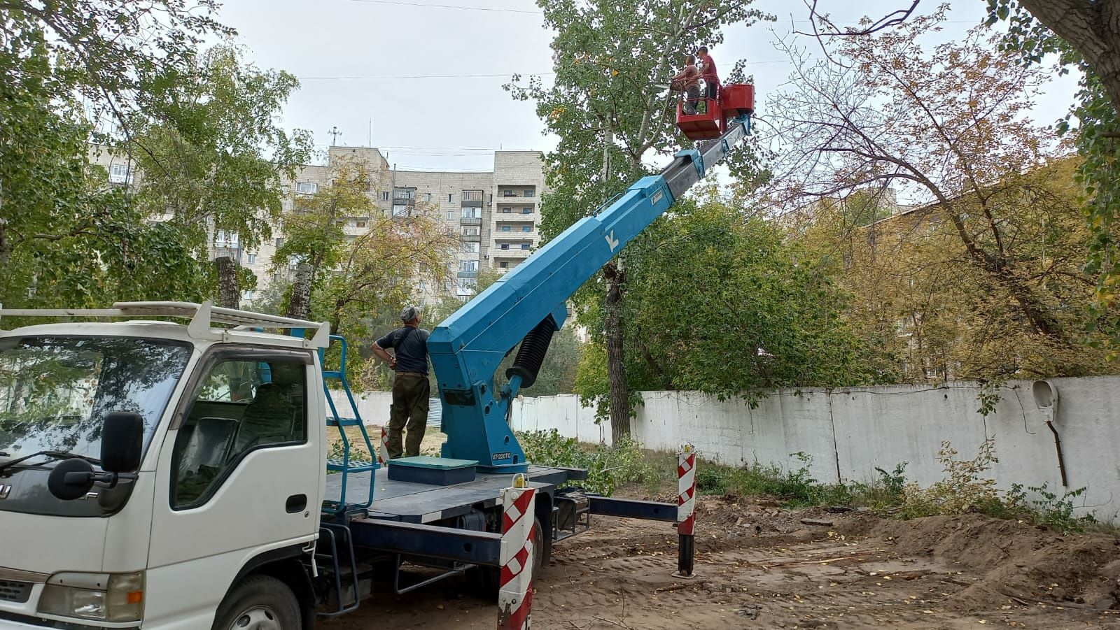 Спилить дерево/Распил/Обрезка/Напилю/Спиливание. Спил деревьев!