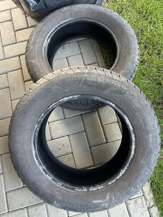 Cauciucuri allseazon