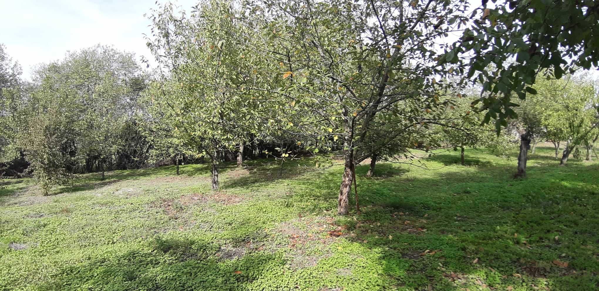 Парцел с временна постройка, с. Васил Левски