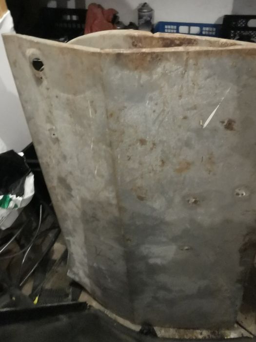 Fata de ușa Dacia 1300