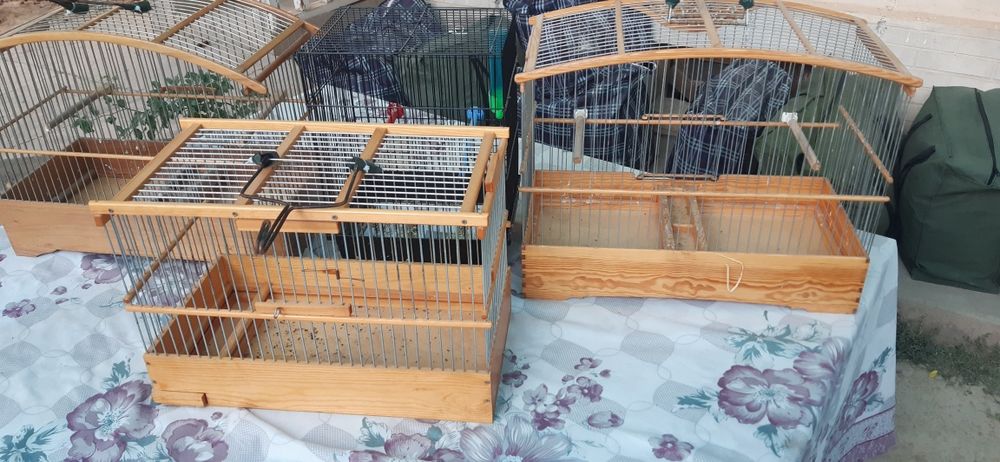 Кафаслар 4 дона зор ахволда