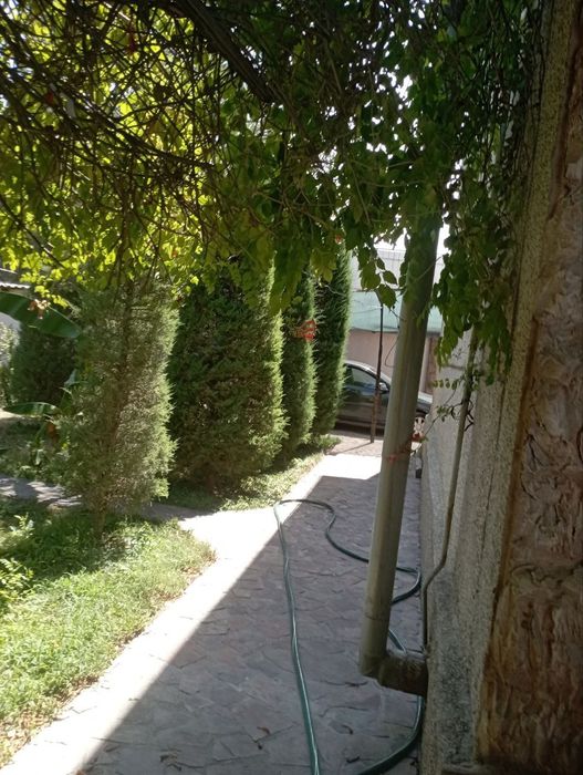Uchastka arendaga beriladi