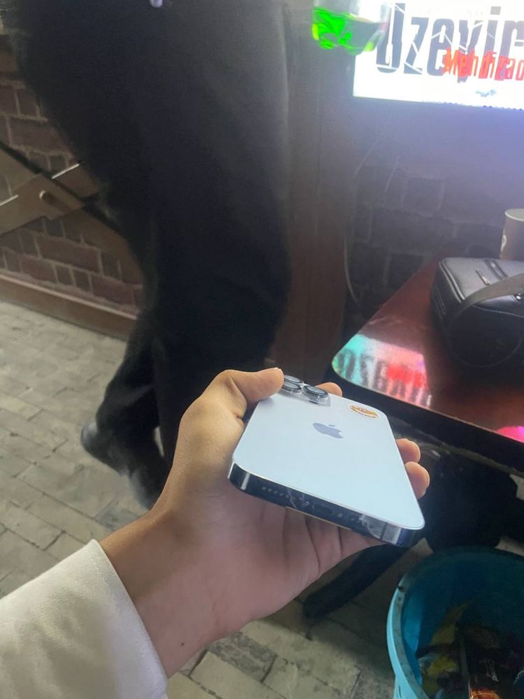 iPhone 13 Pro max 128gb